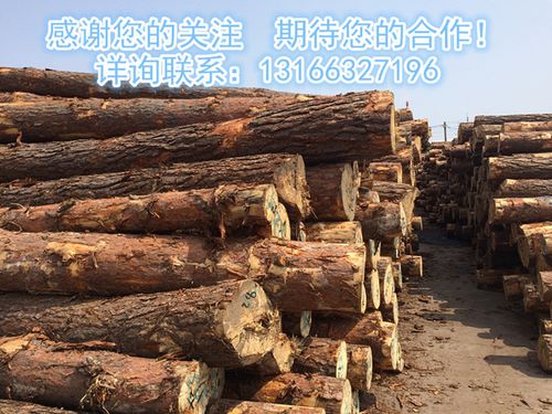 供应樟子松原木 防腐木材 家具装潢材料上海批发樟子松原木