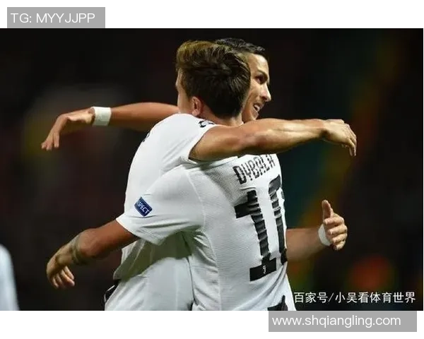 杭州网球队与上海网球队赛后复盘团队协作的成功与不足分析